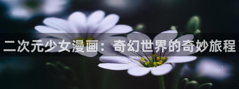 www..喵趣.com：二次元少女漫画：奇幻世界的奇妙旅程