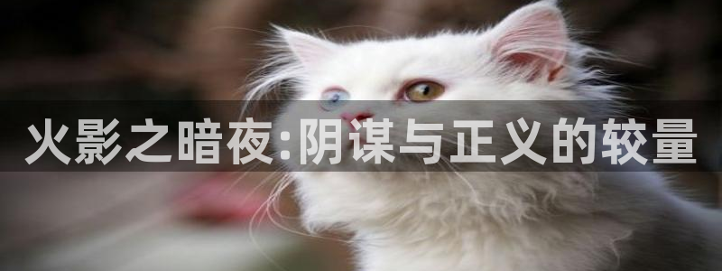 www.喵趣.too：火影之暗夜:阴谋与正义的较量