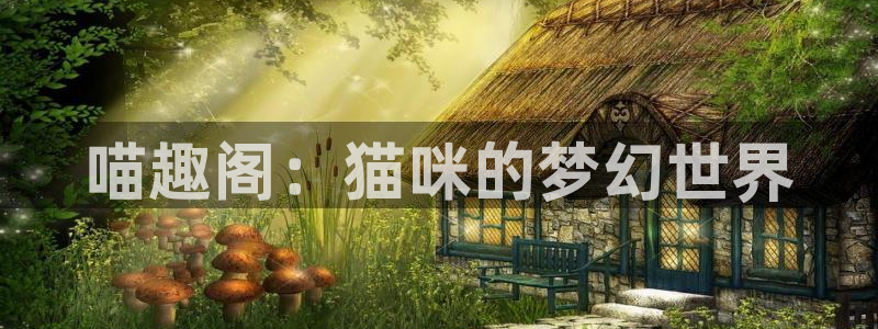 喵趣漫画应用：喵趣阁：猫咪的梦幻世界