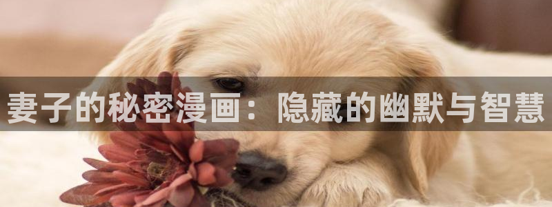 喵趣漫画最新版本下载：妻子的秘密漫画：隐藏的幽默与智慧