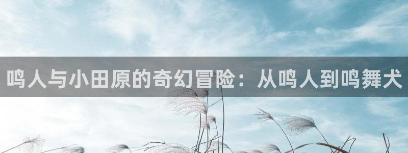 喵趣二次元：鸣人与小田原的奇幻冒险：从鸣人到鸣舞犬