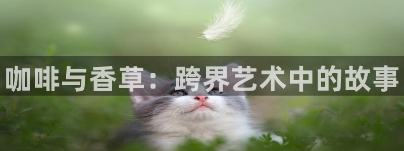 喵趣漫画未删减：咖啡与香草：跨界艺术中的故事