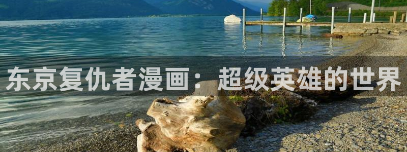 www.喵趣top.：东京复仇者漫画：超级英雄的世界