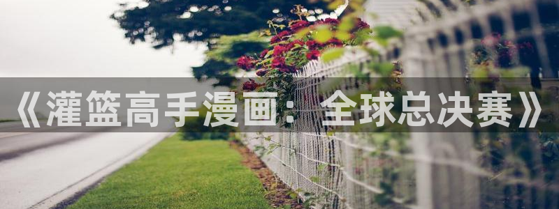 喵趣漫画最新版本2024：《灌篮高手漫画：全球总决赛》