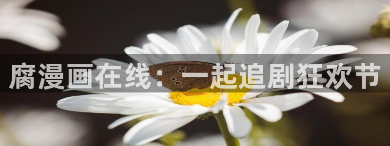 www.喵趣漫画.con：腐漫画在线：一起追剧狂欢节