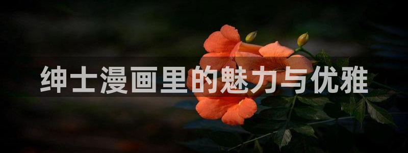 喵趣免费漫画软件：绅士漫画里的魅力与优雅