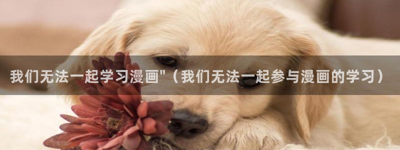 喵趣漫画app下载小说免费安装：我们无法一起学习漫画\