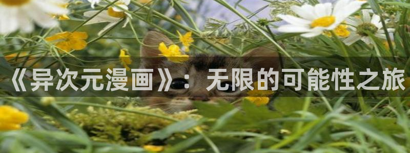 喵趣漫画在线阅读页面免费阅读：《异次元漫画》：无限的可能性之旅