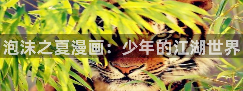 喵趣漫画免费正版：泡沫之夏漫画：少年的江湖世界