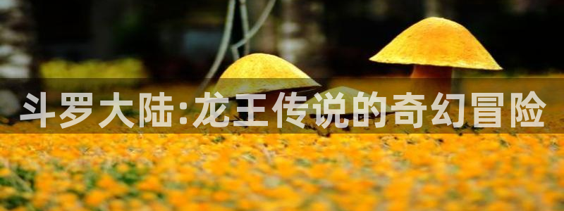喵趣漫画破解版本：斗罗大陆:龙王传说的奇幻冒险