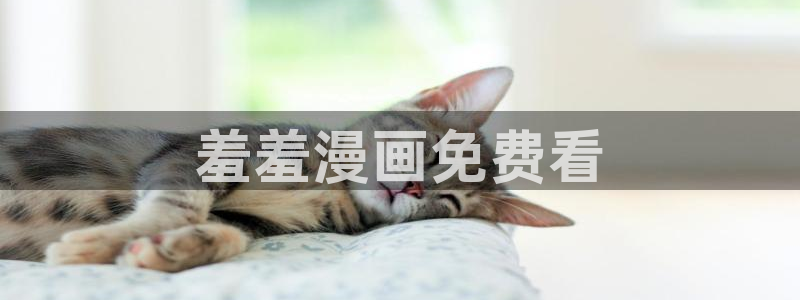 喵趣漫画免费阅读下载：羞羞漫画免费看